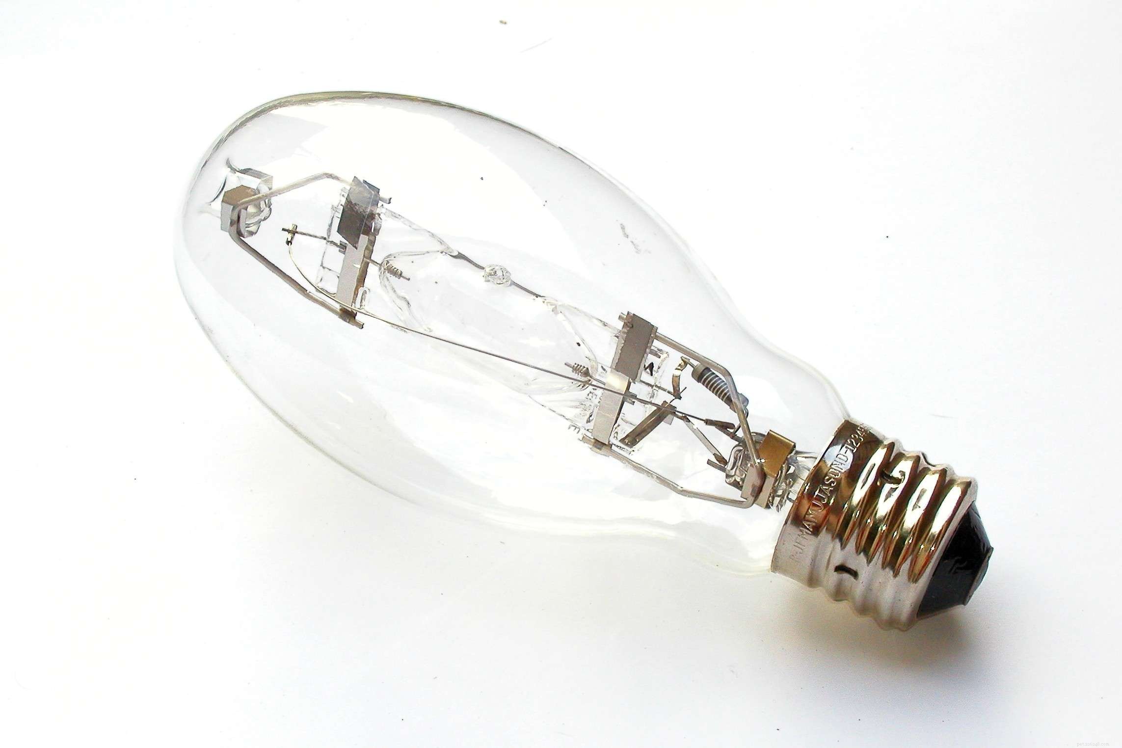 水族館の照明の基本：LED器具の場合 