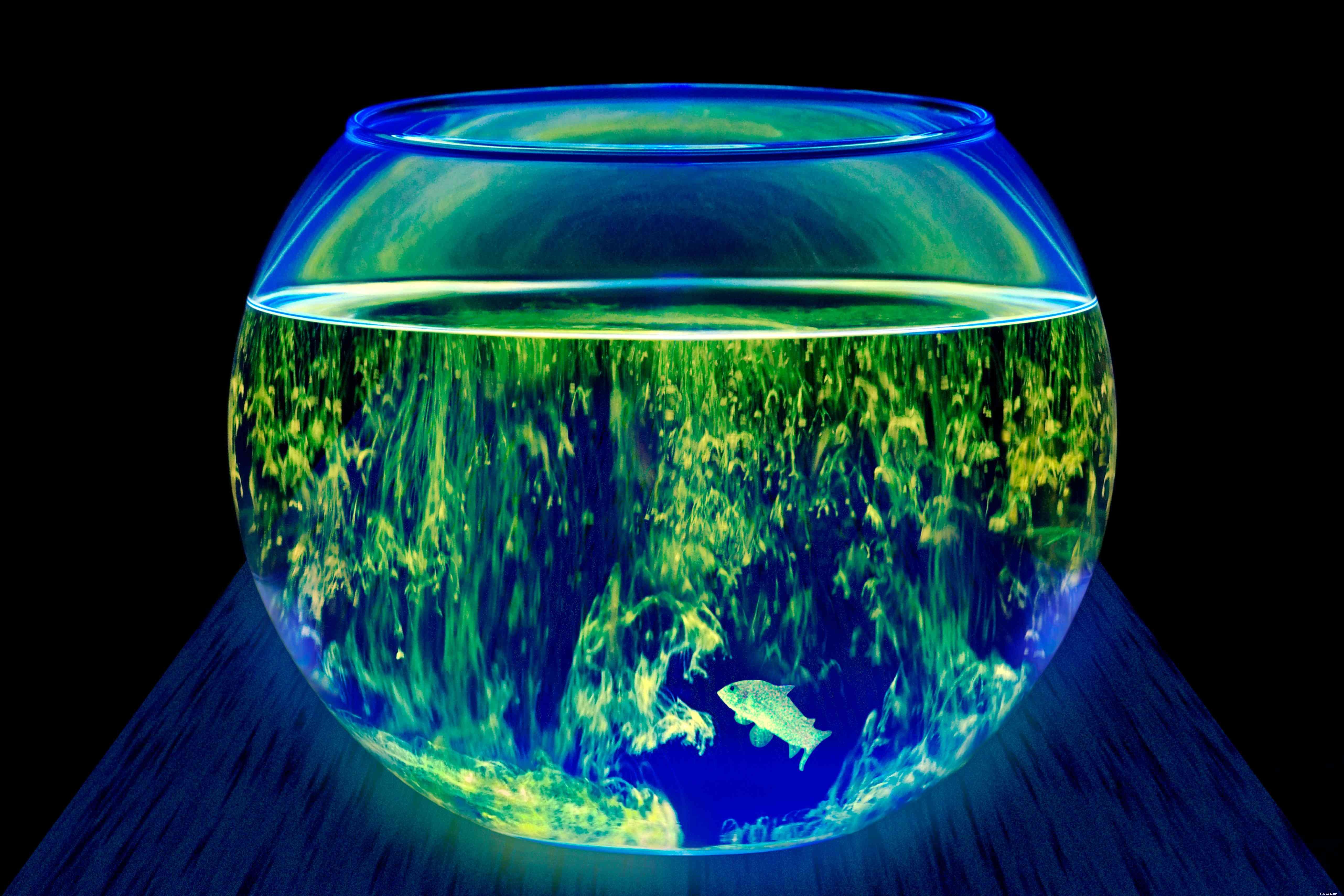 Základy osvětlení akvárií:pouzdro na svítidla LED
