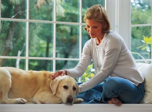 Como tratar a displasia da anca em cães