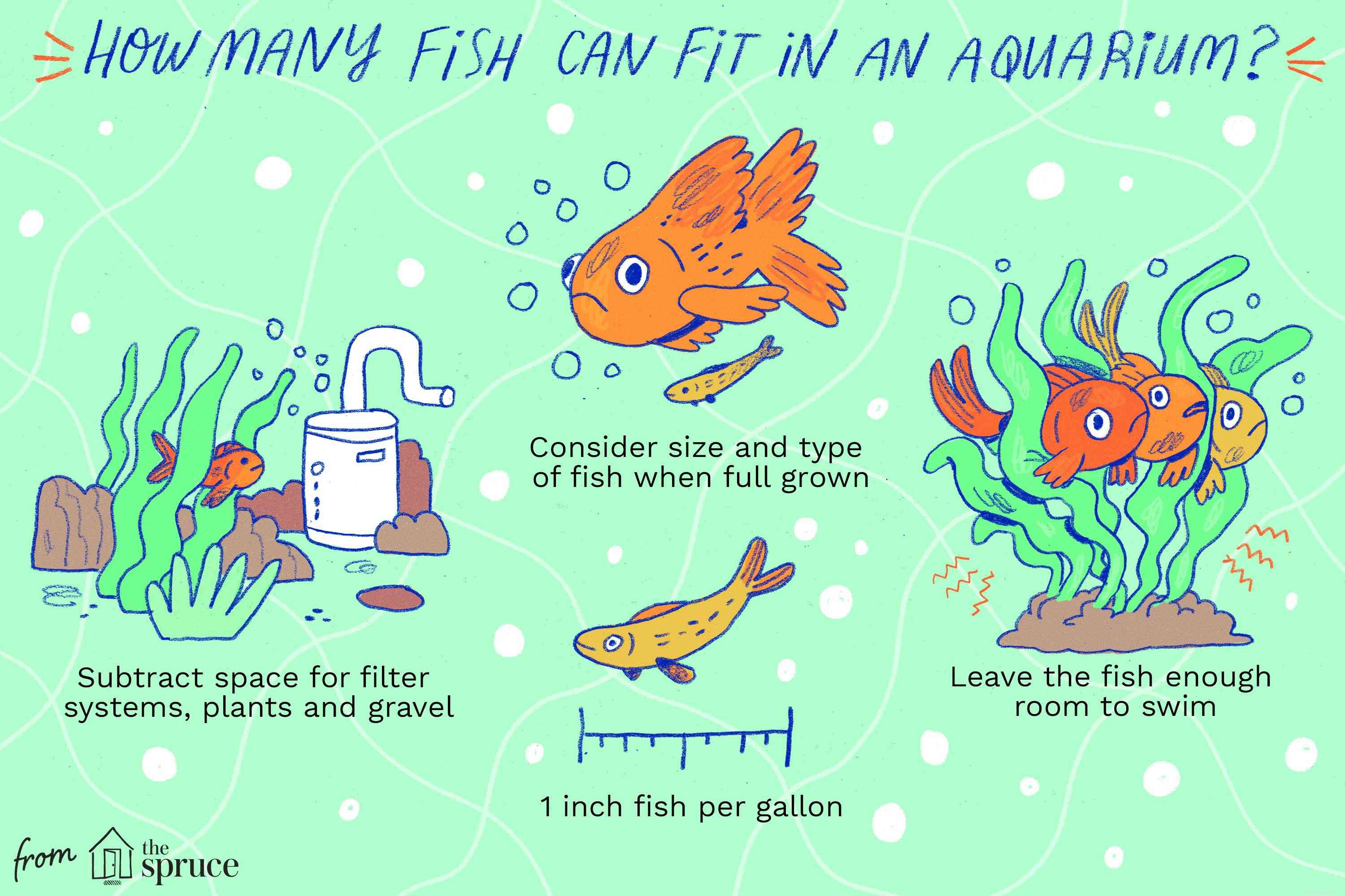Richtlijnen voor het vullen van uw aquarium
