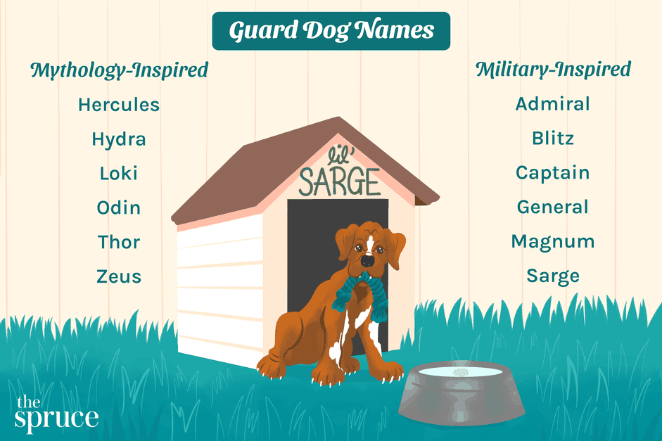 67 jmen strážních psů