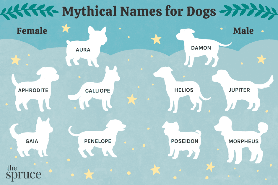 55 noms de chiens mythiques