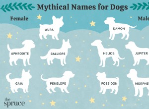 55 mýtických psích jmen