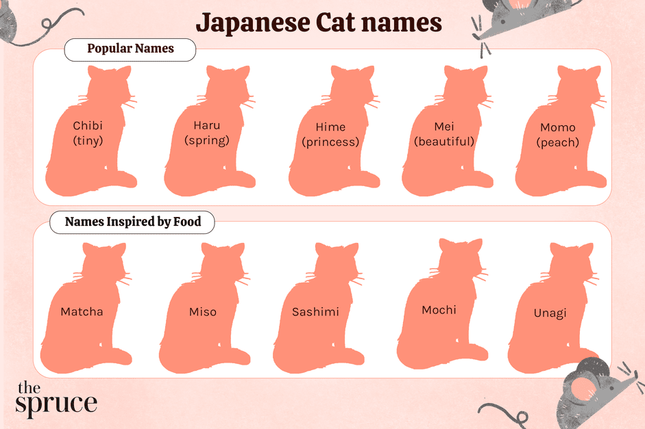 75 japanska kattnamn