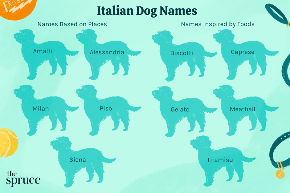 75 Italiaanse hondennamen