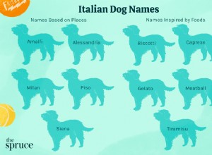 75 italských psích jmen