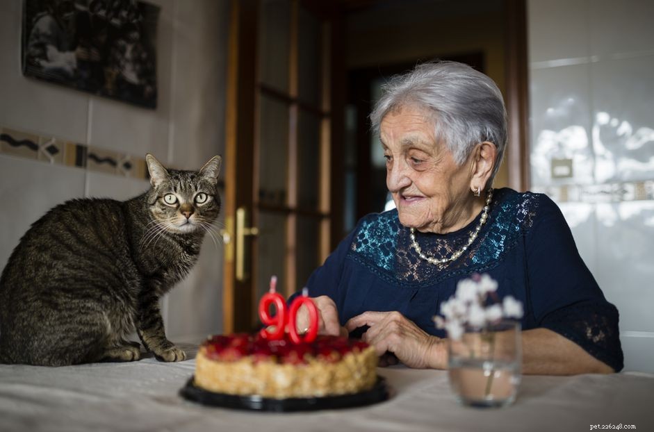 Qual ​​è la durata media della vita del gatto comune?