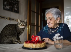 Jaká je průměrná délka života kočky obecné?