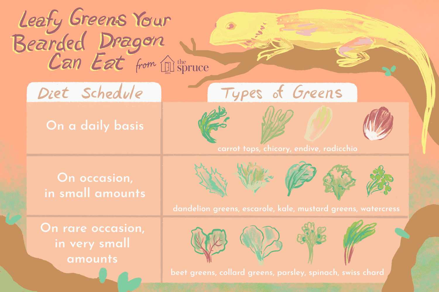 Lövgröna grönsaker för att mata din skäggiga drake