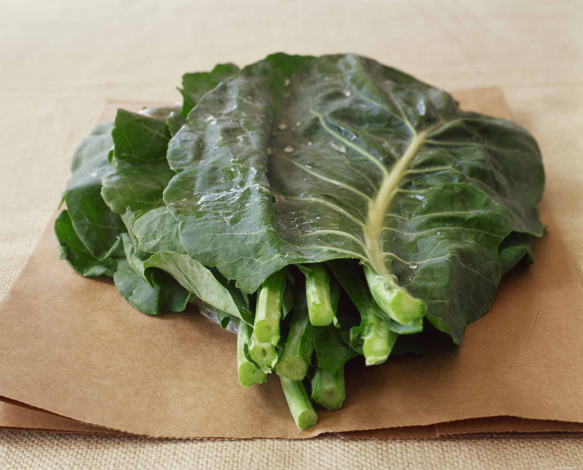 Zelená listová zelenina na krmení vašeho vousatého draka