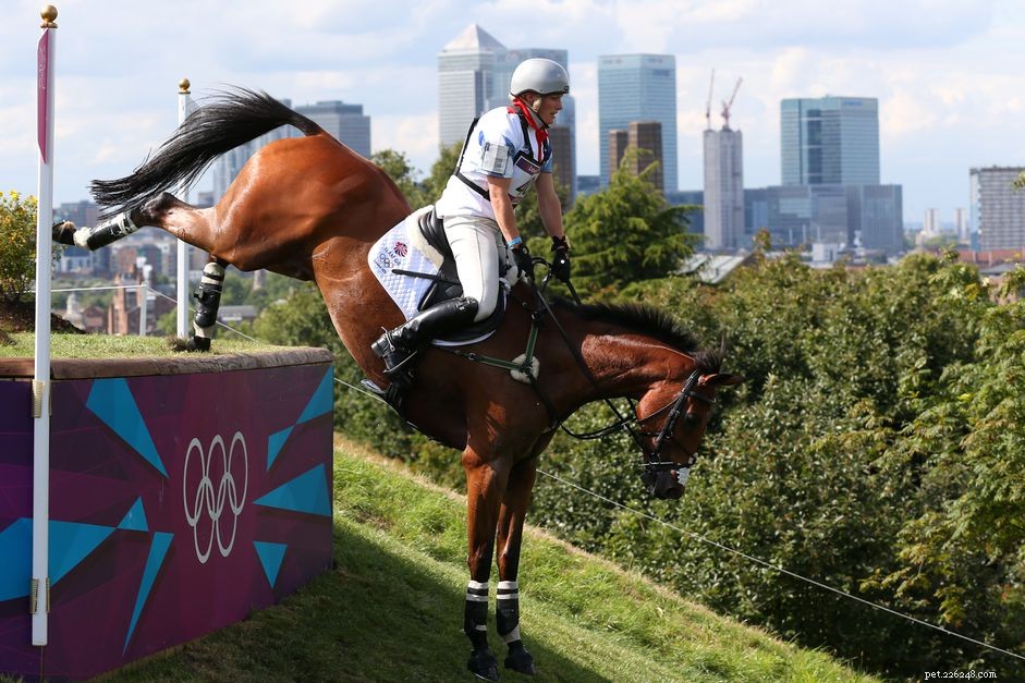 Wat zijn de Olympische paardensporten?