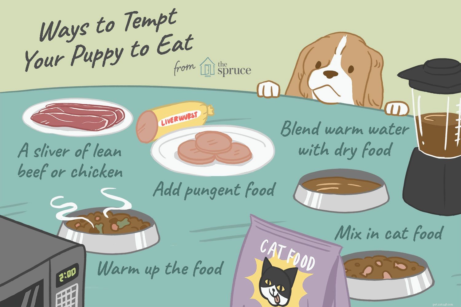 Motivi per cui il tuo cucciolo non mangia e come fermarlo