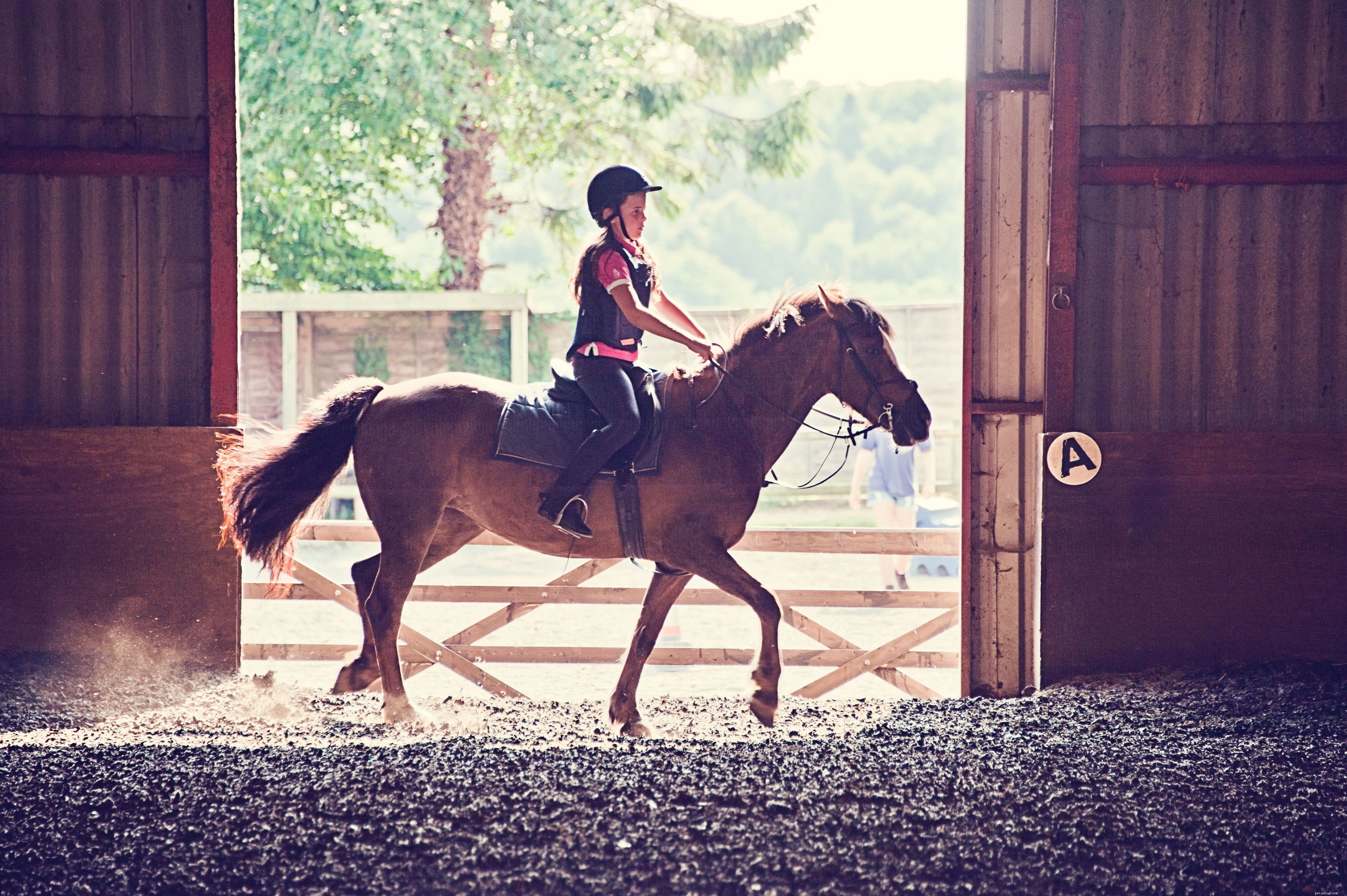 10 лучших пород лошадей и пони для детей