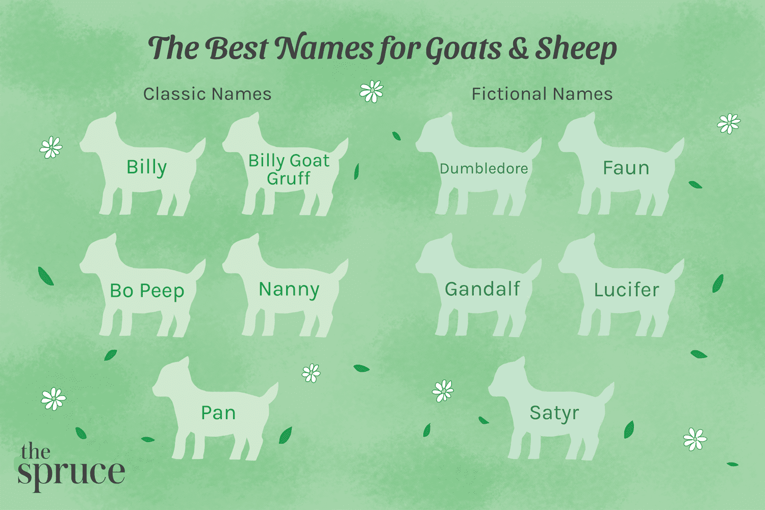 54 idées de noms pour les chèvres et les moutons