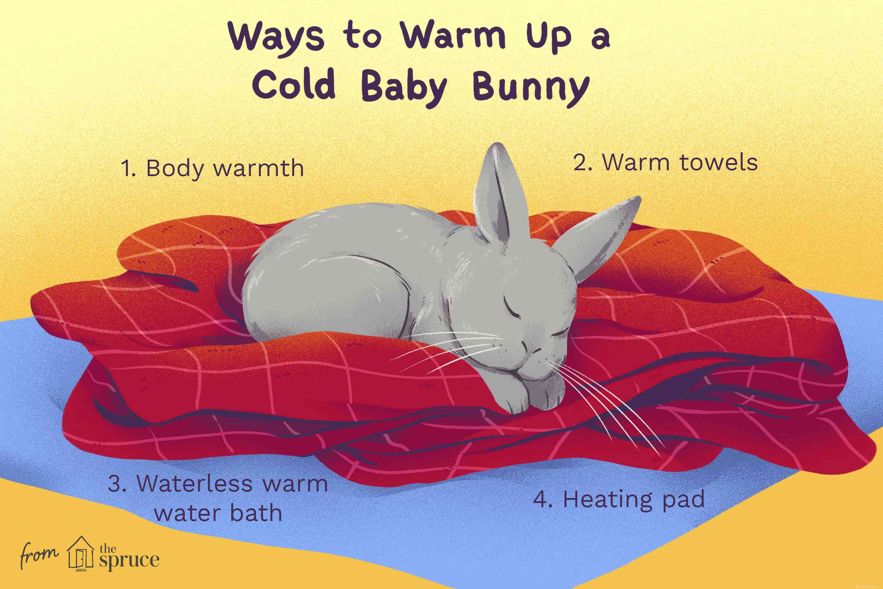 Een koud babykonijntje opwarmen