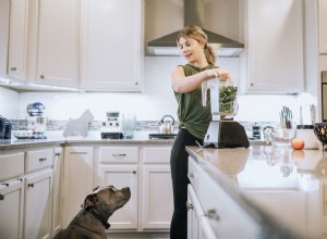 Meu cachorro pode comer espinafre?