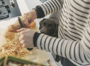 Může můj pes jíst sladké brambory?