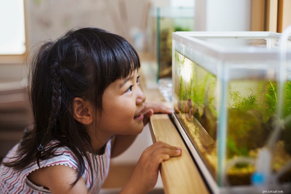 Comment ajouter de l eau à un aquarium