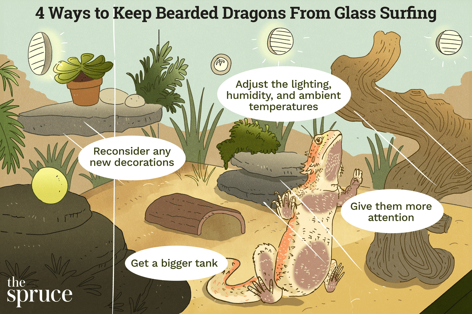 Как остановить просмотр стекла в Bearded Dragons