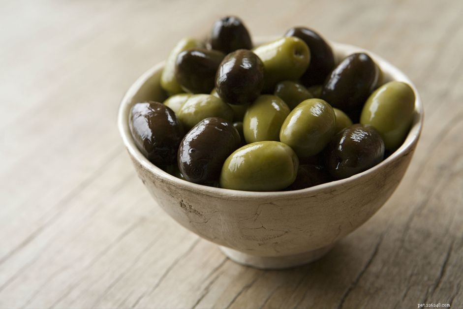 Kunnen honden olijven eten?