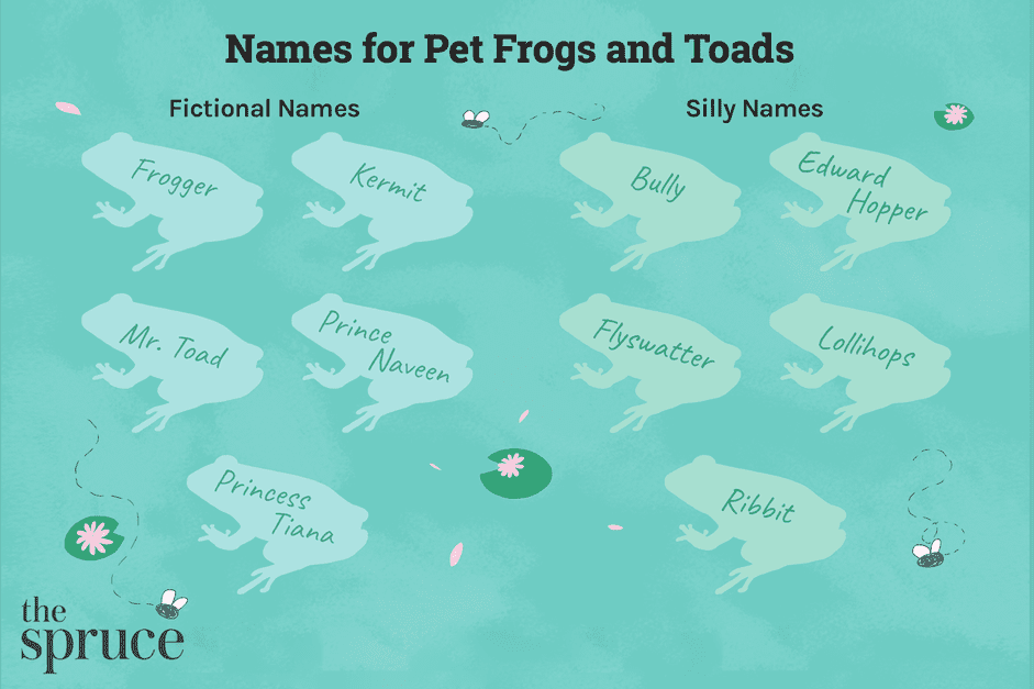 100 noms pour grenouilles et crapauds domestiques
