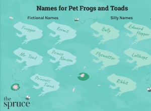 개구리와 두꺼비를 위한 100가지 이름