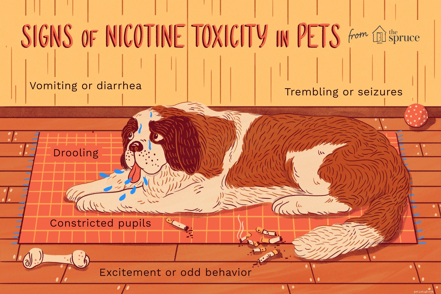 Intoxicação por nicotina em animais de estimação