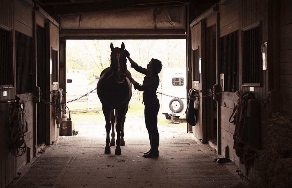 Как ухаживать за лошадью