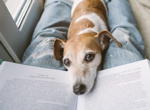 50 literárních jmen psů