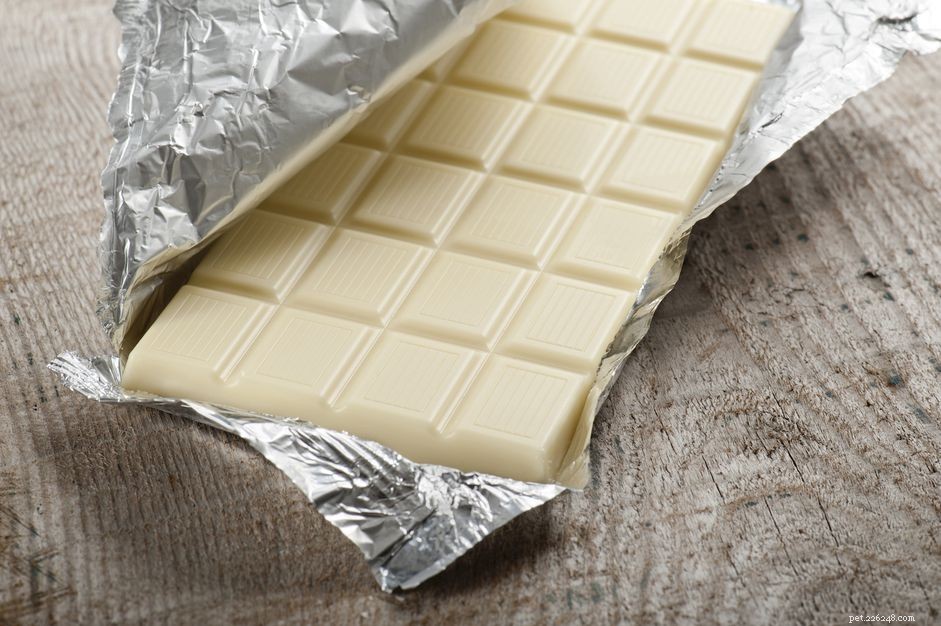 Mohou psi jíst bílou čokoládu?