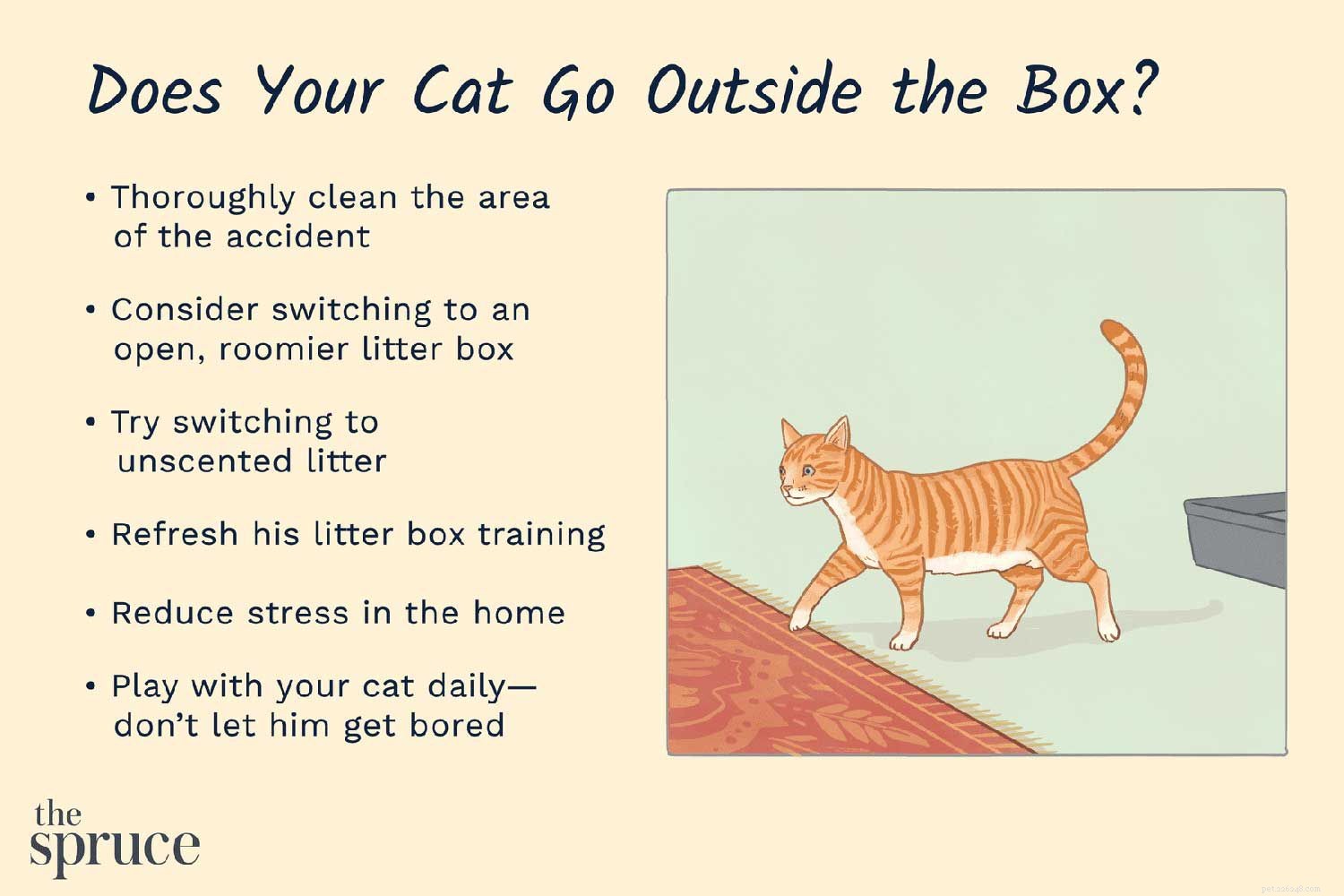 Comment empêcher les chats de faire caca sur les tapis