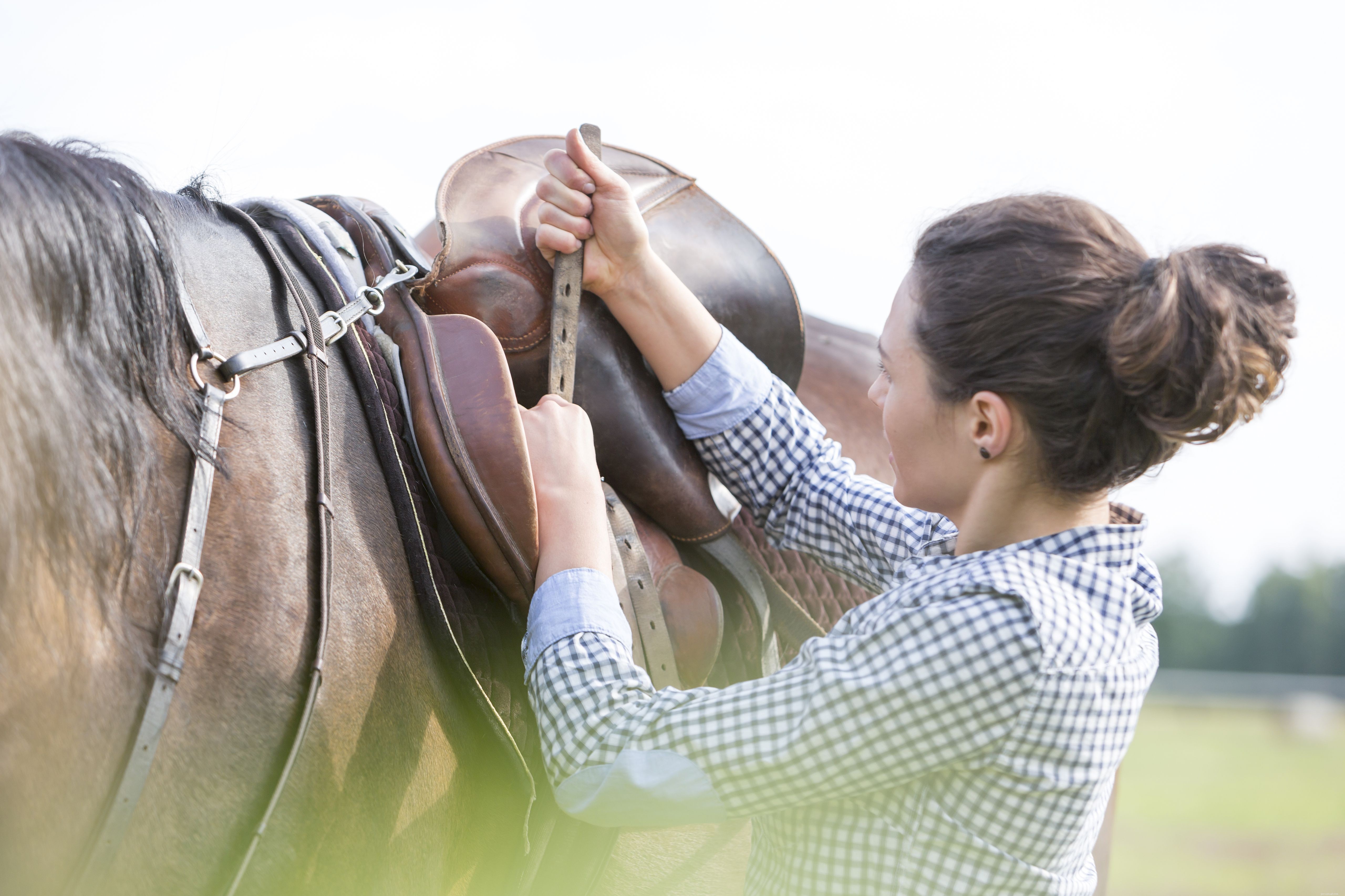10 běžných chyb, kterých se poprvé dopouštějí jezdci na koních