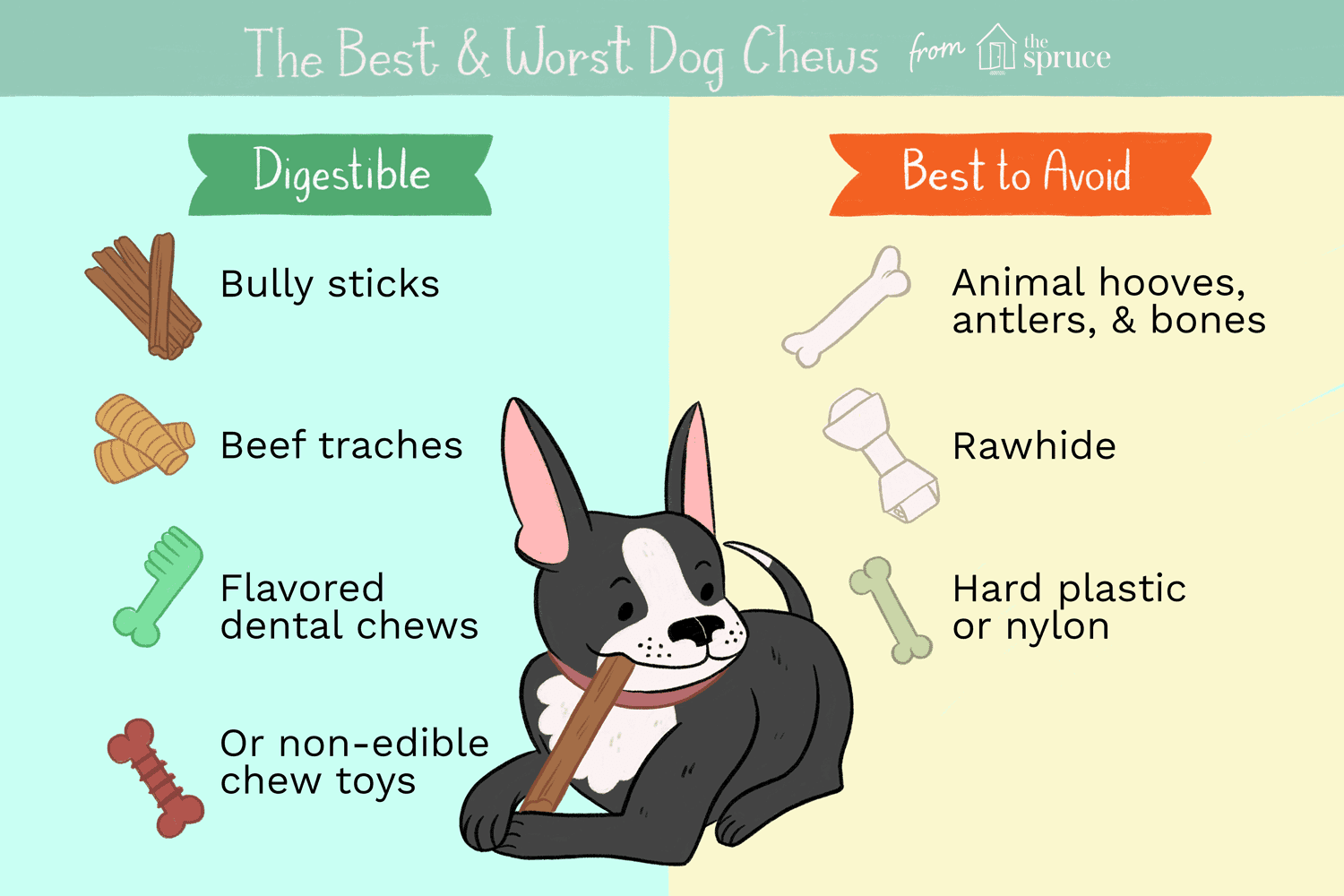 Trovare i migliori masticatori per cani