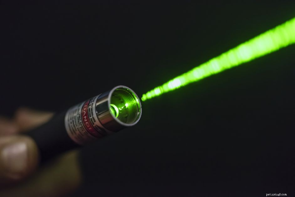 I puntatori laser fanno male ai cani?
