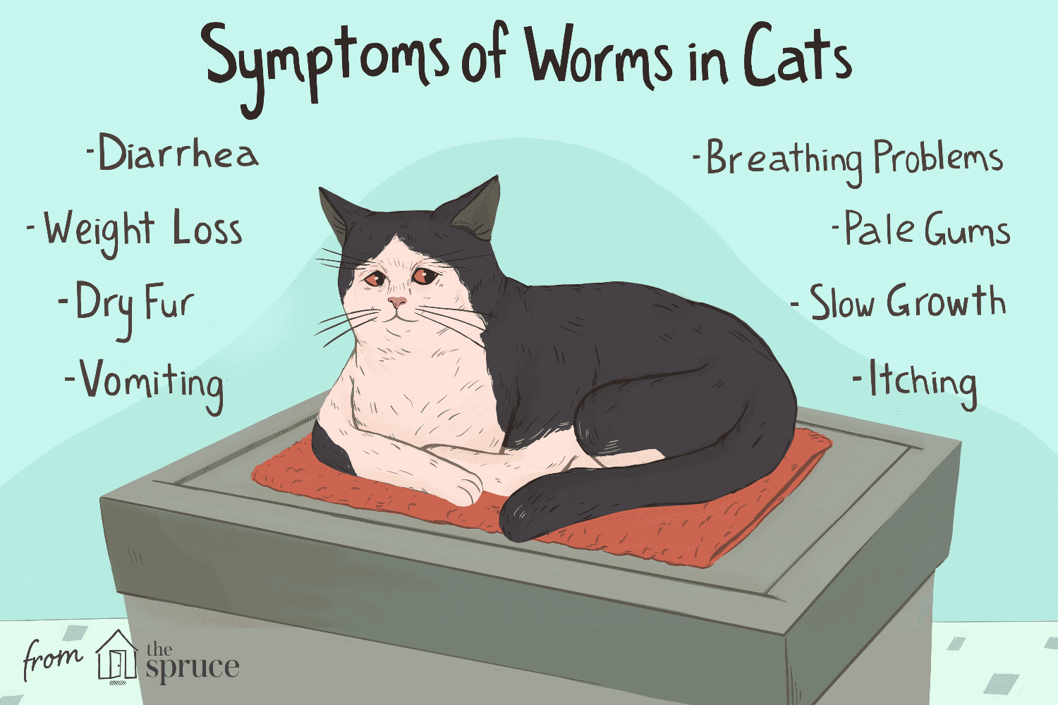 Как лечить ленточных червей у кошек