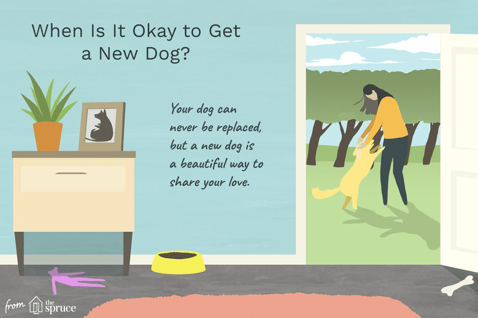 犬が亡くなってからどれくらい待ってから別の犬を飼うべきですか？ 
