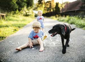 犬はバナナを食べることができますか？ 