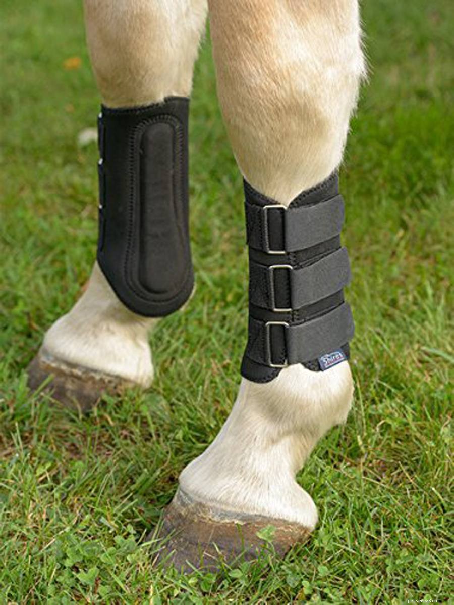 Защитные сапоги для лошадей