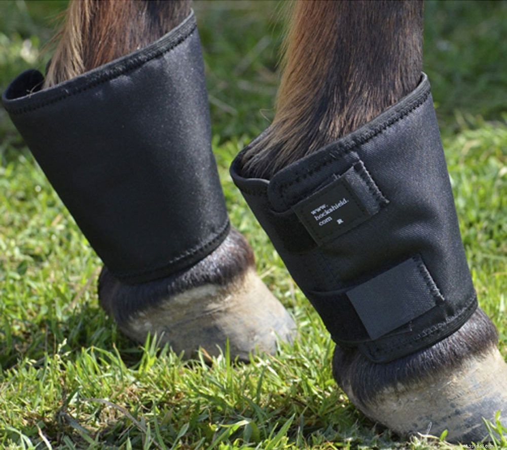 Stivali protettivi per i cavalli