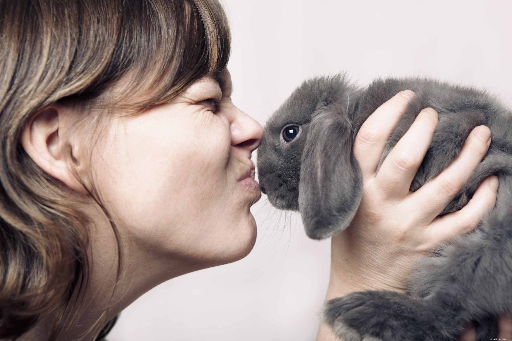 Guida alla cura dei conigli da compagnia
