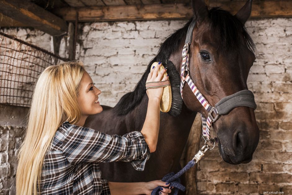 Hur binder jag mig till min häst?