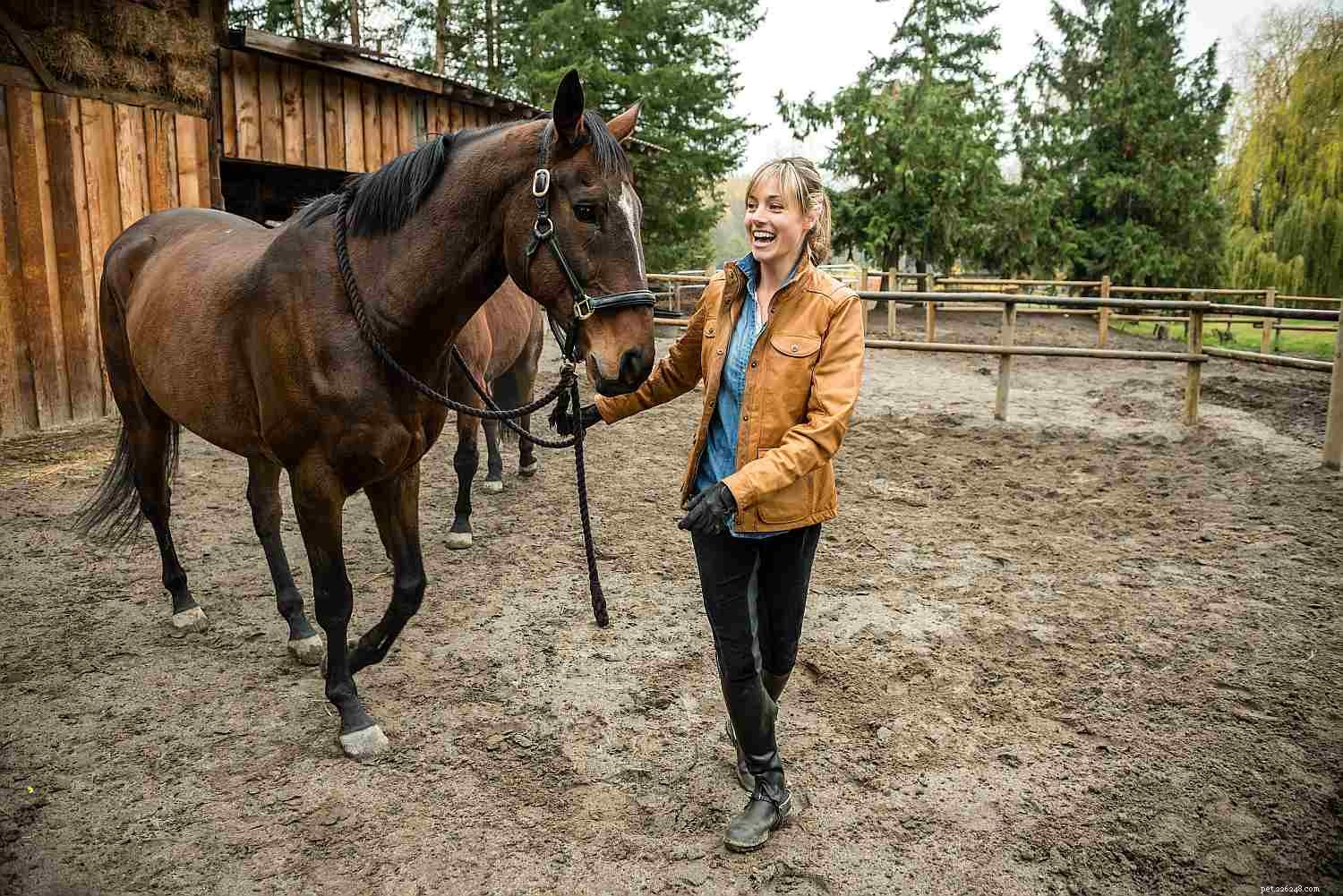 Come faccio a legare con il mio cavallo?