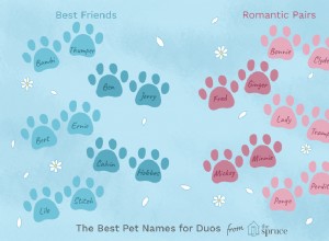 Nápady na jména pro páry domácích mazlíčků