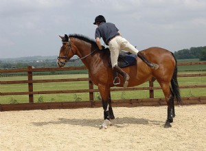 Saiba como desmontar de um cavalo