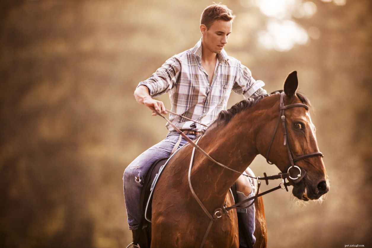 Veelvoorkomende fouten met paardrijden voor beginners