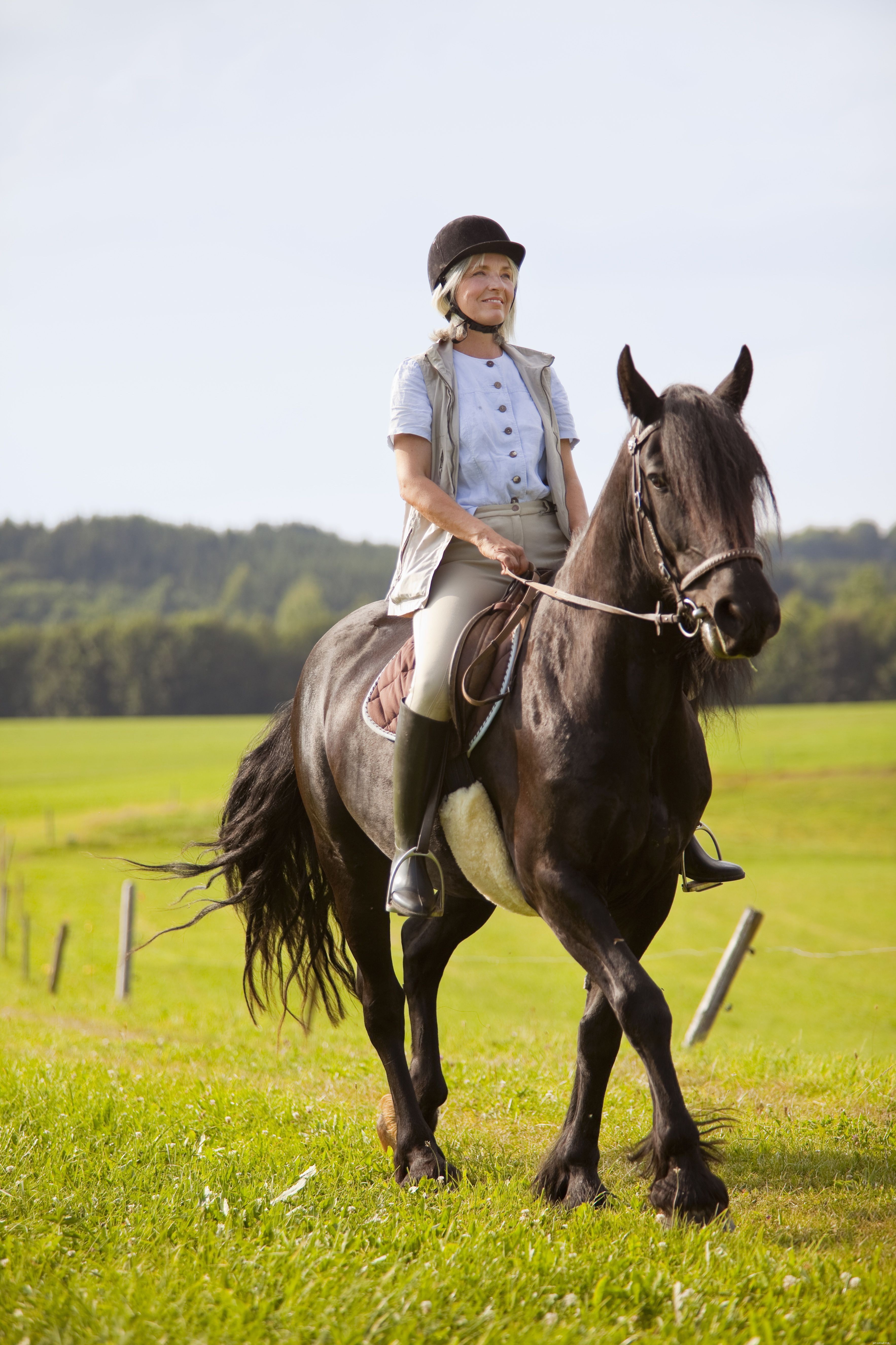 Erros comuns de equitação para iniciantes