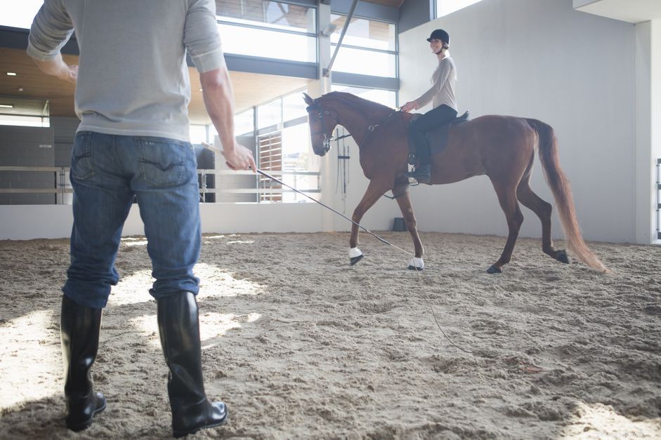 Hoe u uw paard kunt berijden en Whoa, Halt of Stop