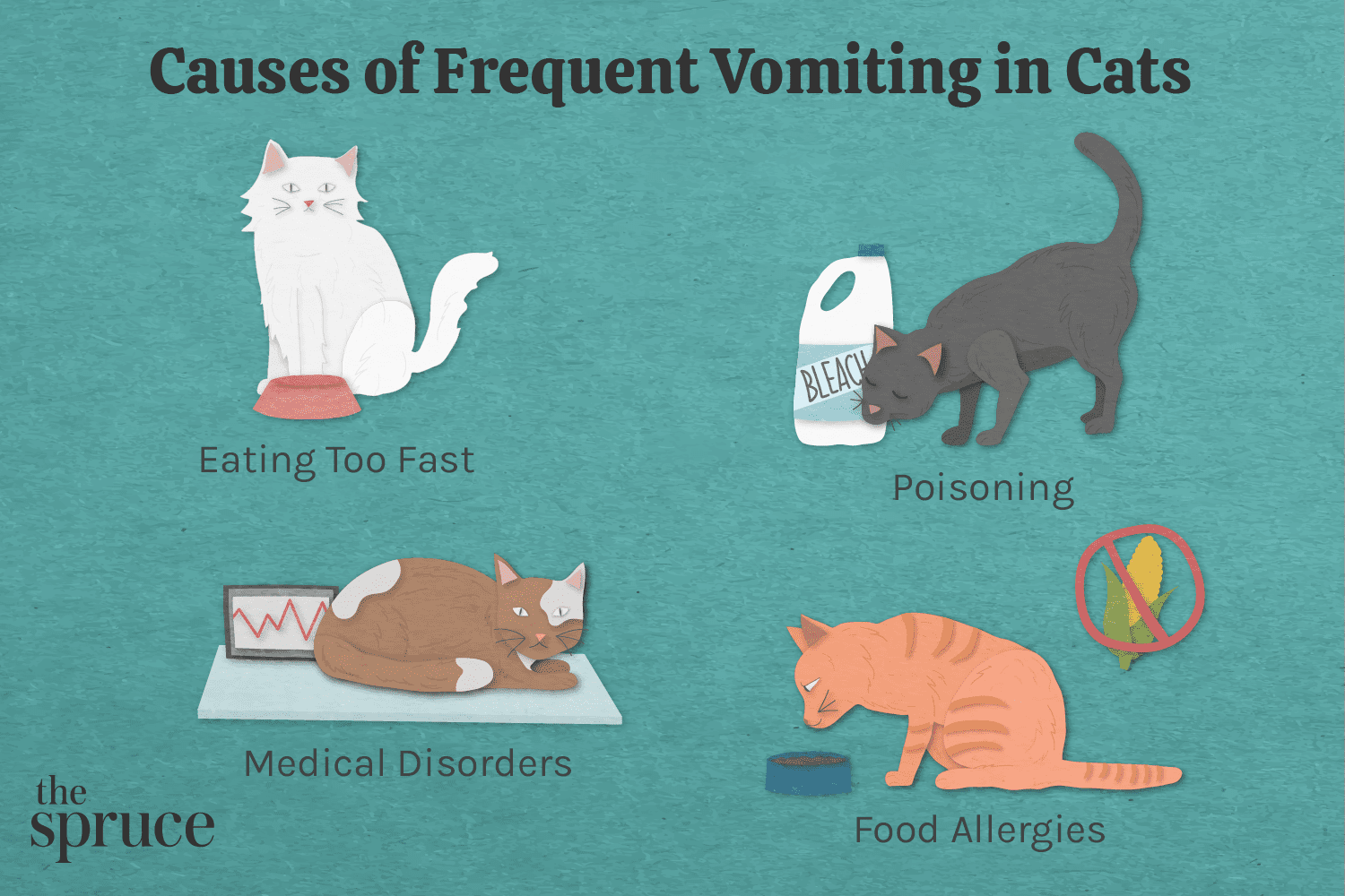 Que faire si votre chat vomit fréquemment
