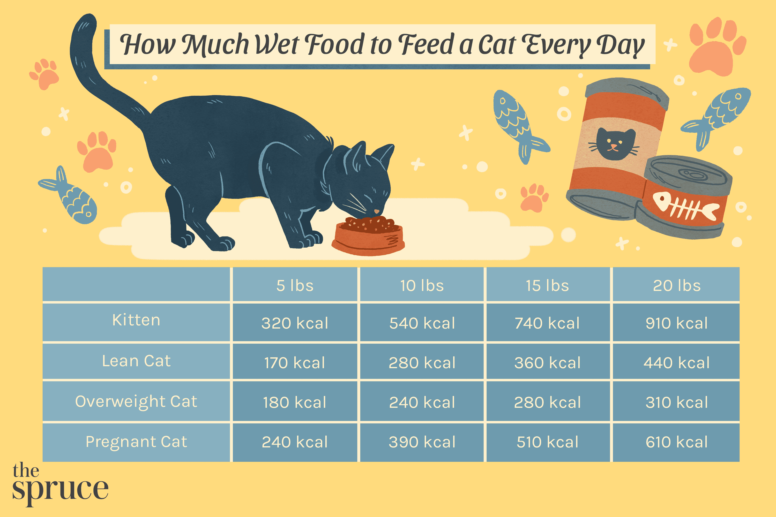 Quanta comida úmida para alimentar um gato todos os dias