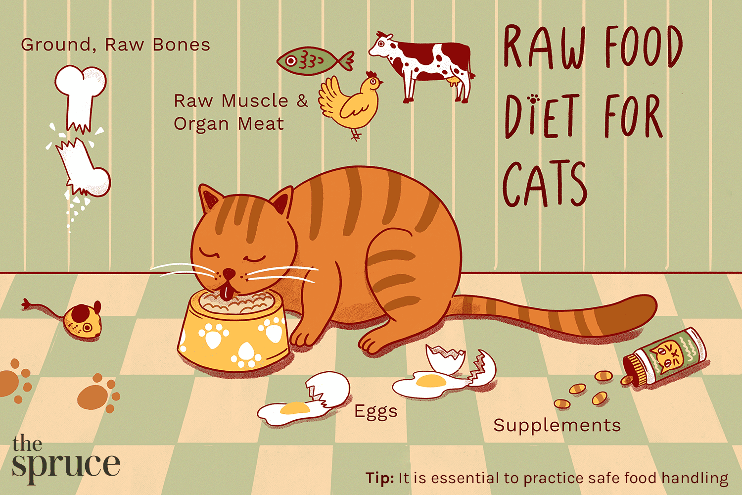 Você deve alimentar seu gato com uma dieta crua?